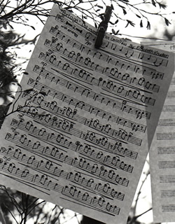 sheets of music hanging from a clothesline